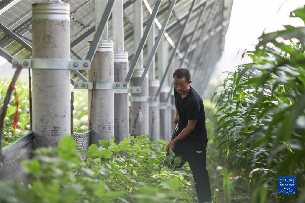 10博中文网